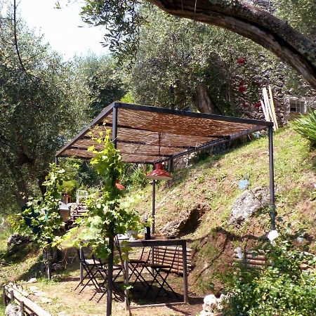 Il Giaggiolo Villa Camaiore Exterior photo