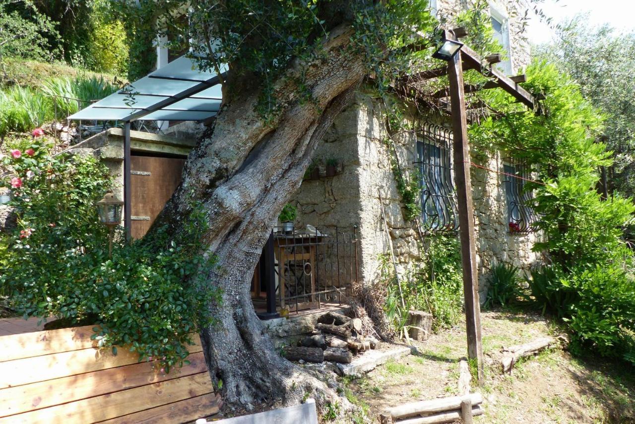 Il Giaggiolo Villa Camaiore Exterior photo