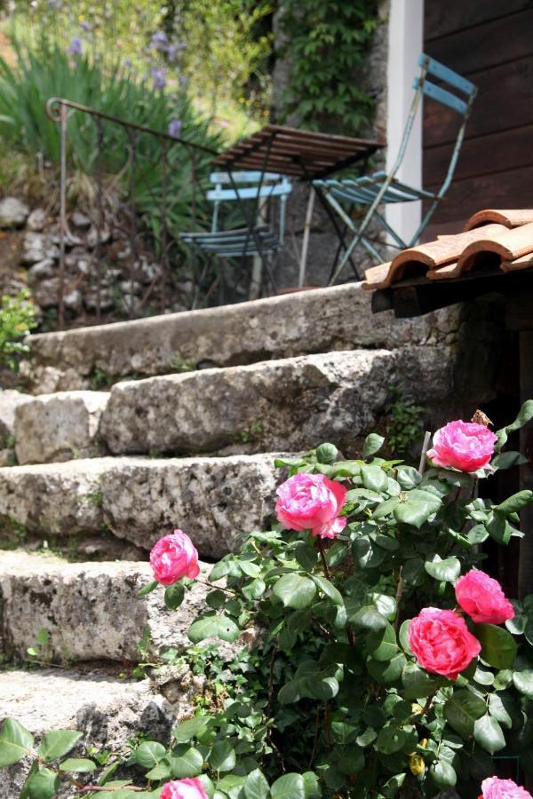 Il Giaggiolo Villa Camaiore Exterior photo
