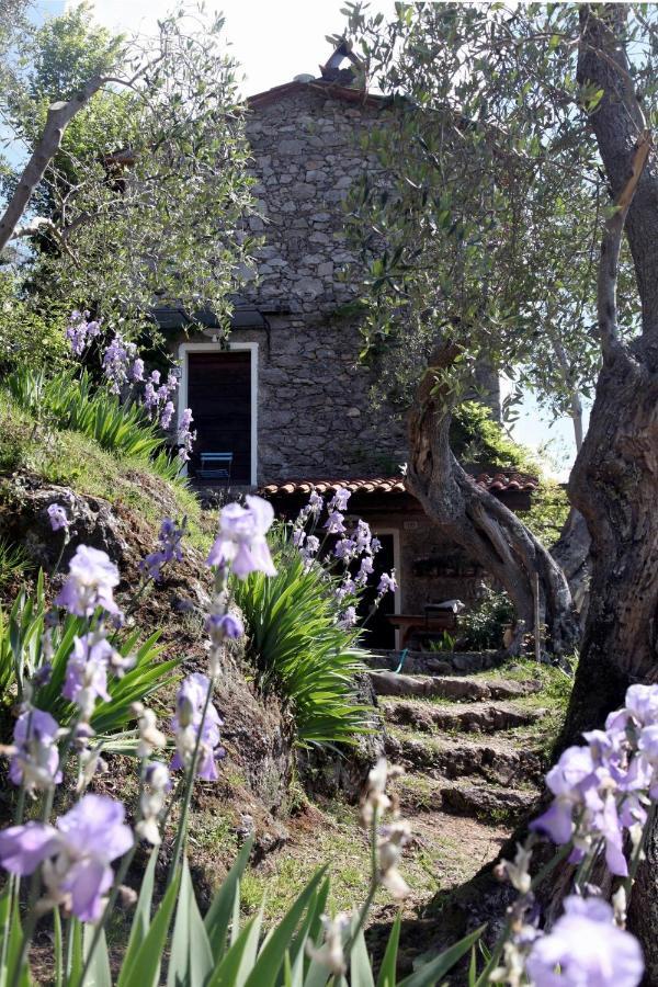 Il Giaggiolo Villa Camaiore Exterior photo