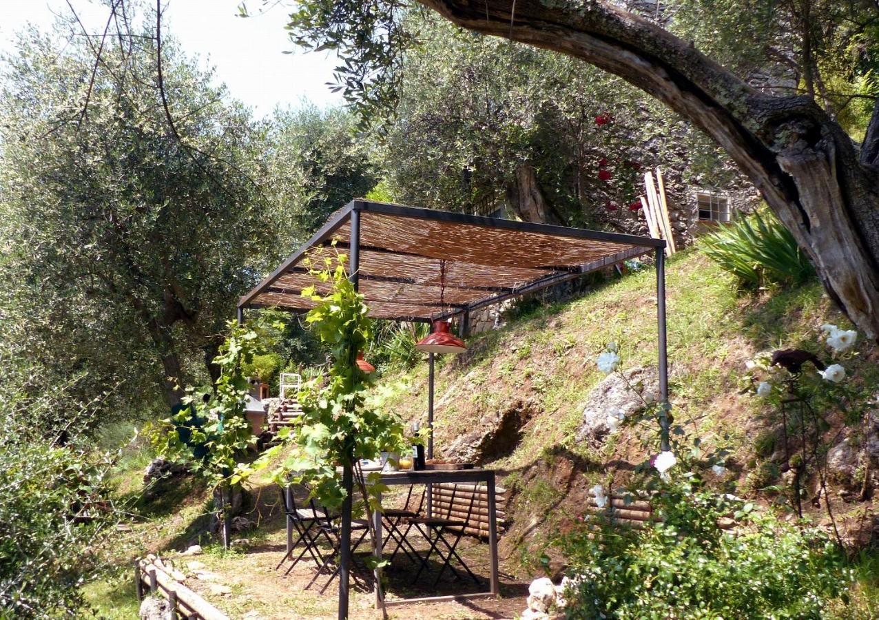 Il Giaggiolo Villa Camaiore Exterior photo