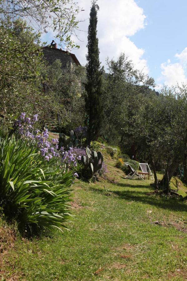Il Giaggiolo Villa Camaiore Exterior photo