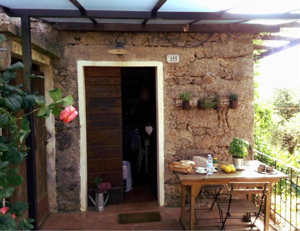 Il Giaggiolo Villa Camaiore Exterior photo